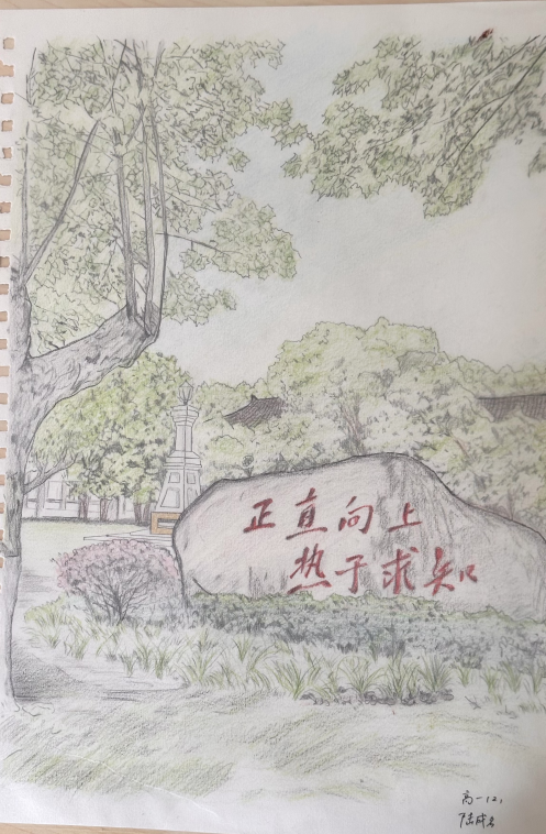 高一2陆成名